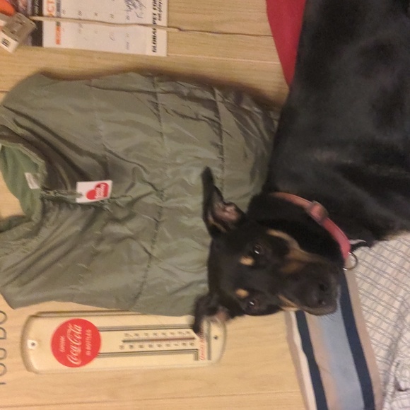 Boots & Barkley 2 Way Puffer Jacket XXL Dog Jacket Puffer Jacket NWT - Picture 3 of 17